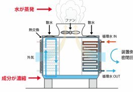 10年龄段的李佑安，不愧是读过书的好孩子，语言组织能力很流畅