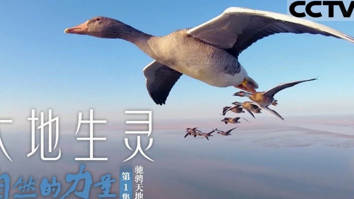 塞鸟：我们创造出机会就是没能进球，对方2个机会全把握住了