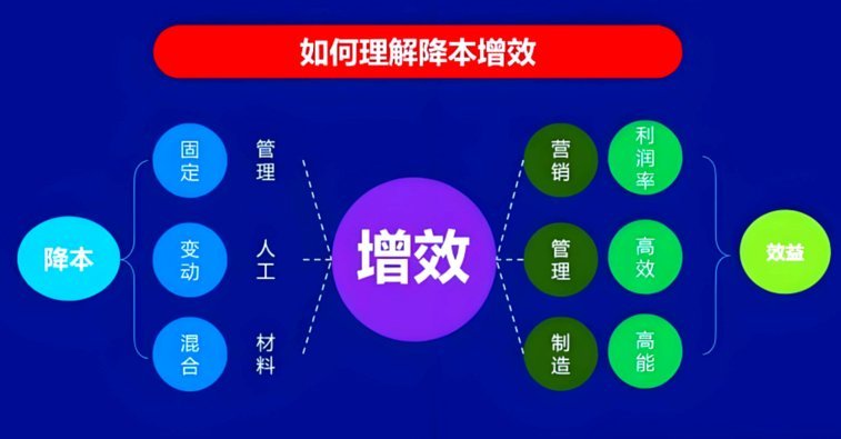 多特准备降本增效、深化改革、提高品牌影响力、并提升基建