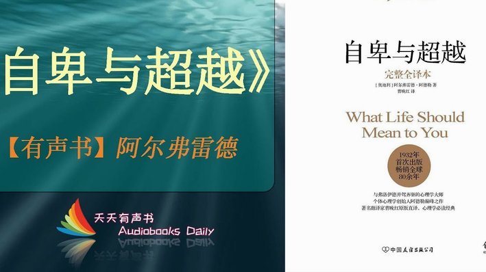 阿尔德韦雷尔德：阿森纳应签阿尔瓦雷斯而非维尼修斯